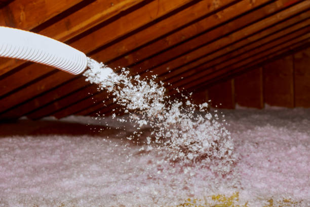 Best Residential Insulation in Golden Beach, MD